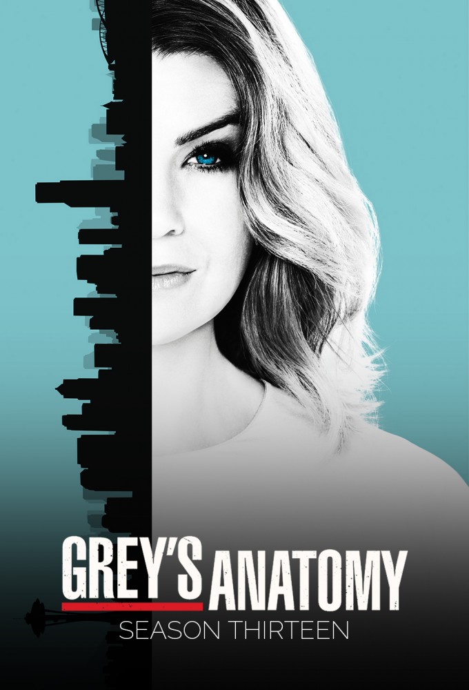 Grey's Anatomy - Season 13 [134607] (A1774147533) [[Shows 2.0]] --Plex--